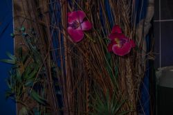 Notre zone d'activité pour ce service Chambre romantique pour fêter un anniversaire de mariage